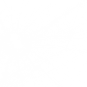 Broken glass PNG