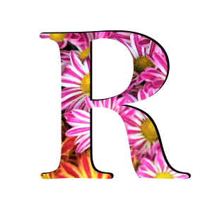 Letter R PNG