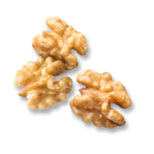 Walnut PNG