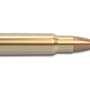 Bullets PNG image