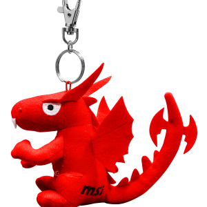 Keychain PNG