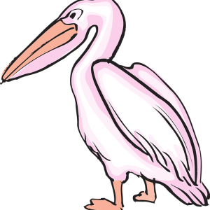 Pelican PNG