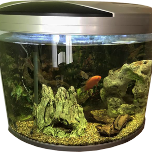 Aquarium PNG