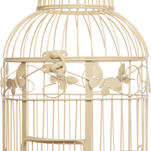 Cage bird PNG