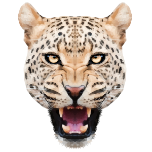 Leopard PNG