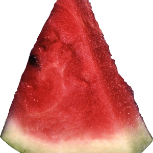 watermelon PNG image