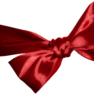 red ribbon bow PNG