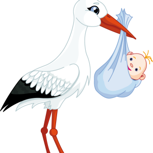 stork baby PNG