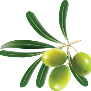 Green olives PNG