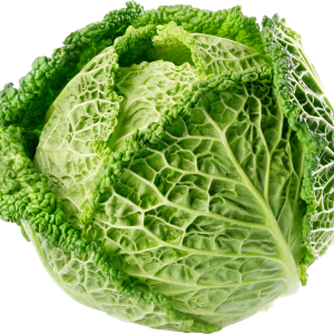 Cabbage PNG