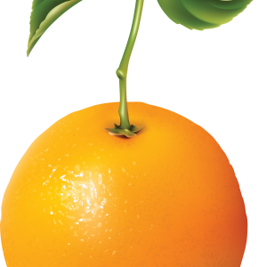 Orange PNG image with gree leaves transparent