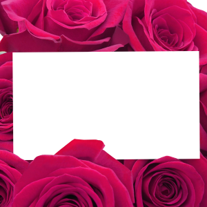 Floral frame PNG
