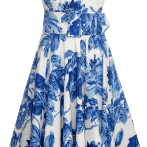 Dress PNG