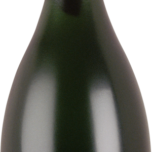 Champagne bottle PNG image
