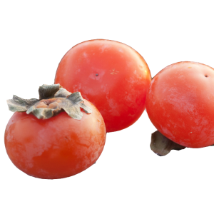 Persimmon PNG