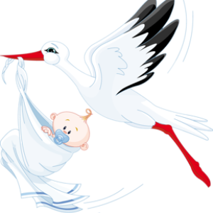 stork baby PNG