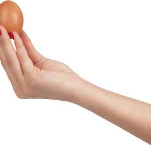 egg PNG