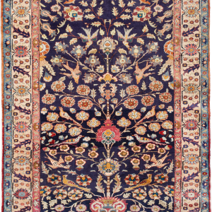 Carpet, rug PNG