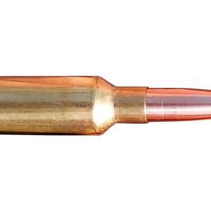 Bullets PNG image