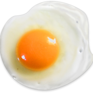 Fried egg PNG image