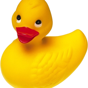 Rubber duck PNG