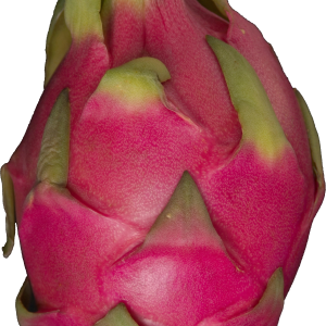 pitaya PNG