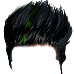 Hair wig PNG