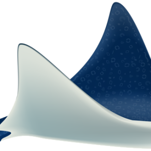 Stingray PNG