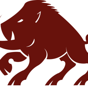 Boar PNG
