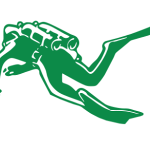 Diver PNG