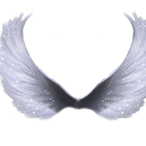 Wings PNG
