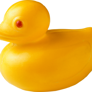Rubber duck PNG