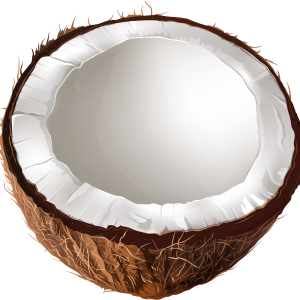 large PNG image coconut
