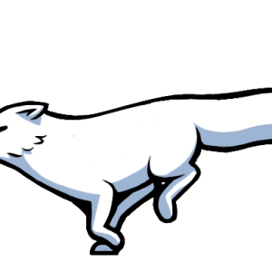 Arctic fox PNG