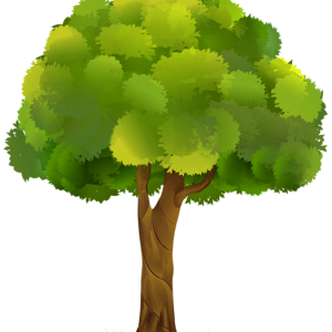 tree PNG