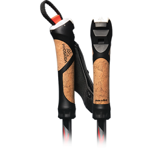 Trekking pole PNG