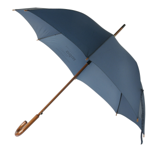 Umbrella PNG