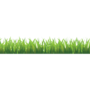 Grass PNG