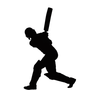Cricket PNG
