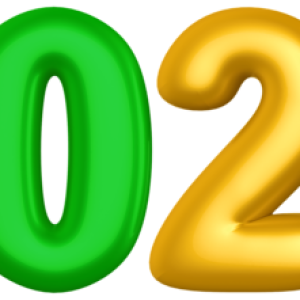 2020 Year PNG