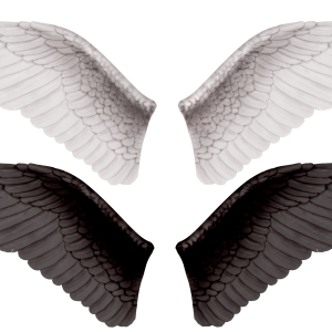 Wings PNG