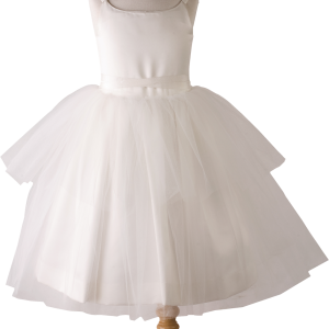Dress PNG