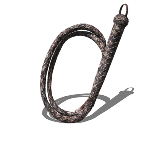 Whip PNG