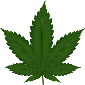 Cannabis PNG