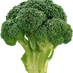 Broccoli PNG