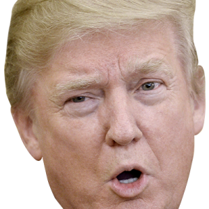 Donald Trump PNG