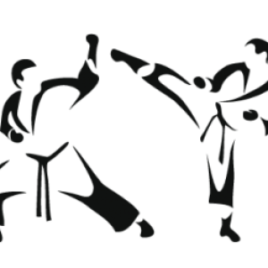 Taekwondo PNG