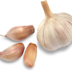 Garlic PNG