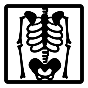 X-rays PNG
