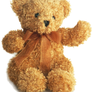 Teddy bear PNG
